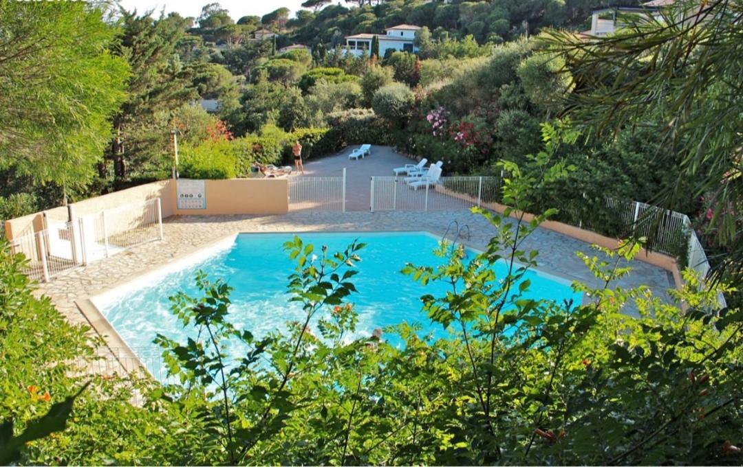 Studio Bord De Mer Terrasse Vue Mer Piscine Apartment Sainte-Maxime Exterior photo
